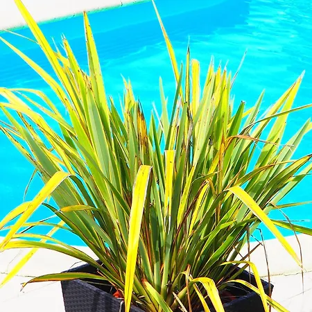 לינה וארוחת בוקר La Belle Verte Grignols (Dordogne)