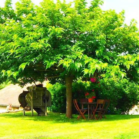 לינה וארוחת בוקר La Belle Verte Grignols (Dordogne)