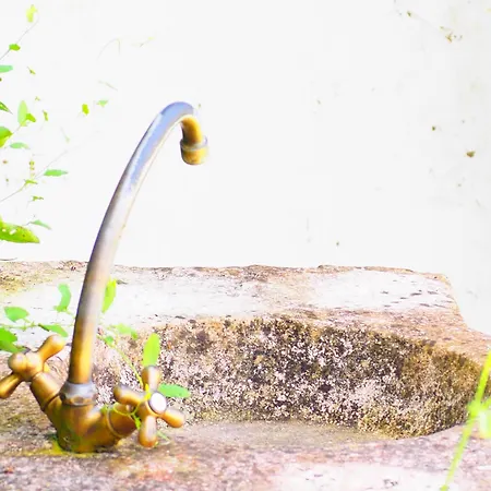 La Belle Verte Grignols (Dordogne)