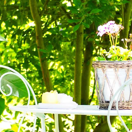 La Belle Verte Grignols (Dordogne)