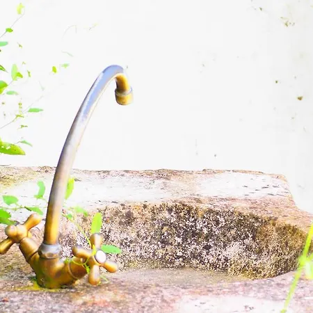 La Belle Verte לינה וארוחת בוקר