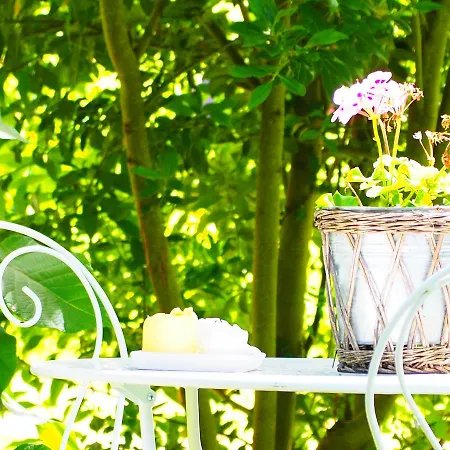 לינה וארוחת בוקר La Belle Verte Grignols (Dordogne)