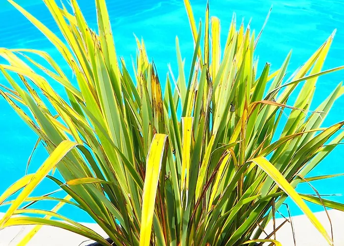 Bed and breakfast La Belle Verte Grignols (Dordogne)