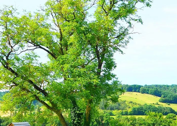 La Belle Verte 3* Grignols (Dordogne)