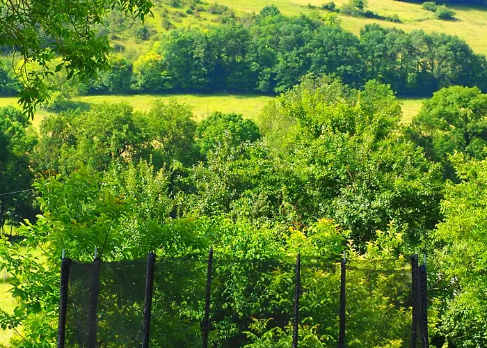 Bed and breakfast La Belle Verte