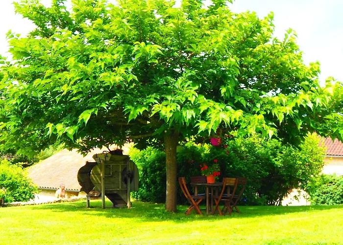 Bed and breakfast La Belle Verte Grignols (Dordogne)