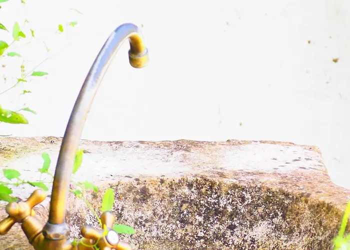 La Belle Verte Grignols (Dordogne)