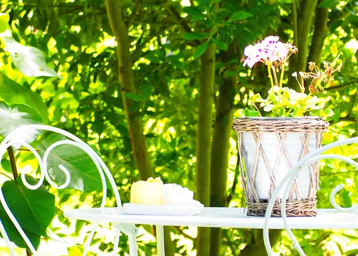 La Belle Verte Grignols (Dordogne)