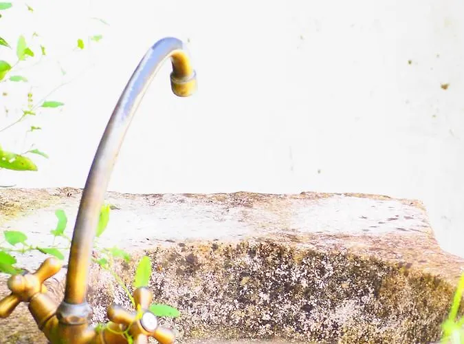 La Belle Verte Отель типа 