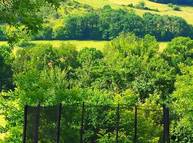 Bed and breakfast La Belle Verte 3*