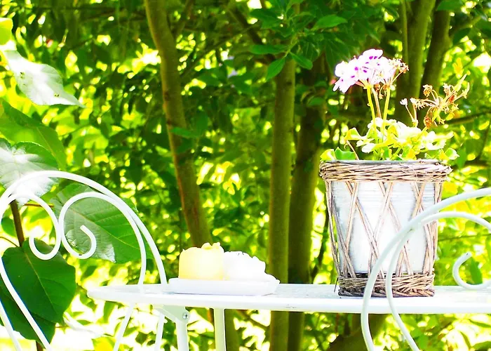 Bed and breakfast La Belle Verte Grignols (Dordogne)