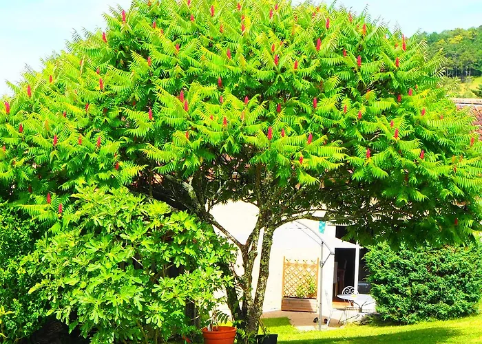 La Belle Verte Отель типа 